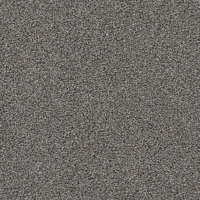 DreamWeaver - Gold Standard III - Carpet