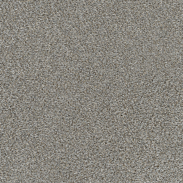DreamWeaver - Gold Standard III - Carpet