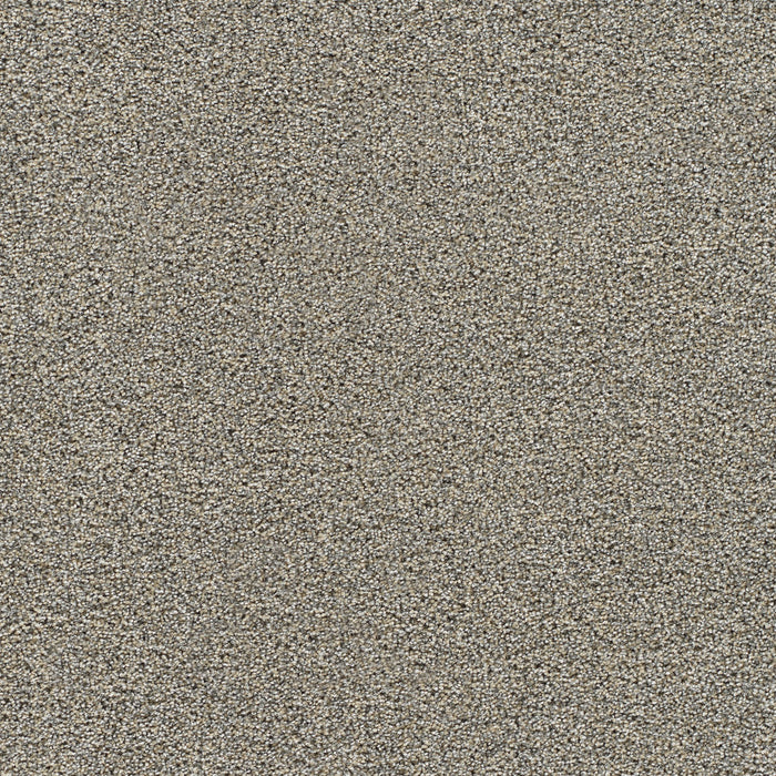 DreamWeaver - Gold Standard III - Carpet