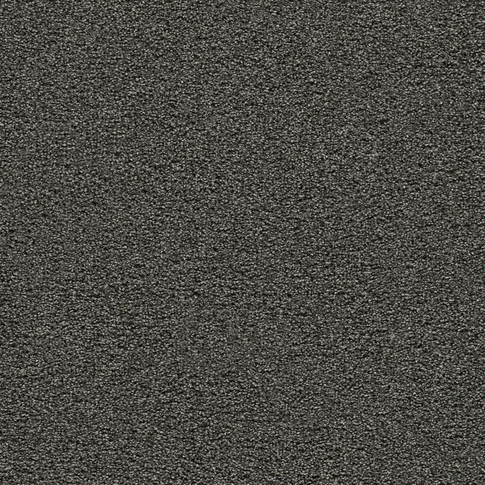 DreamWeaver - Gold Standard III - Carpet
