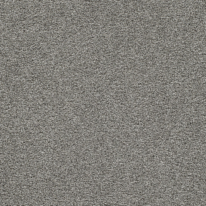 DreamWeaver - Gold Standard III - Carpet