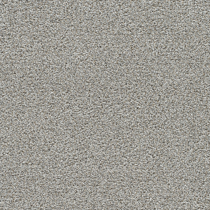 DreamWeaver - Gold Standard III - Carpet