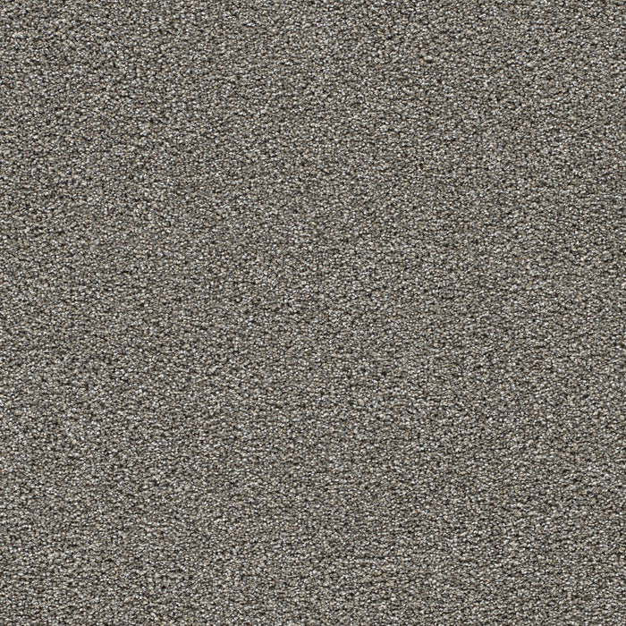 DreamWeaver - Gold Standard III - Carpet