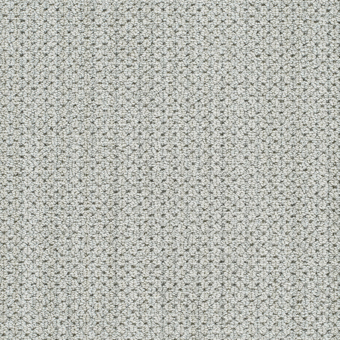 DreamWeaver - Montreal II - Carpet