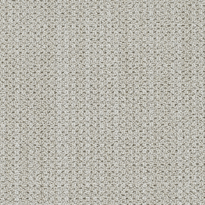 DreamWeaver - Montreal II - Carpet