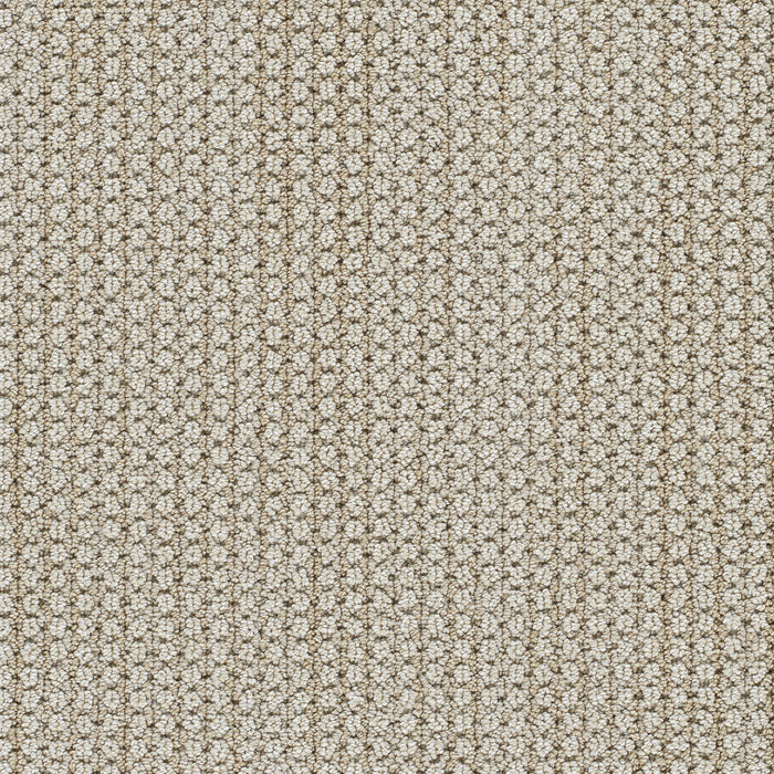 DreamWeaver - Montreal II - Carpet