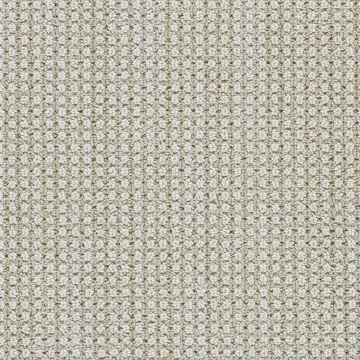 DreamWeaver - Montreal II - Carpet