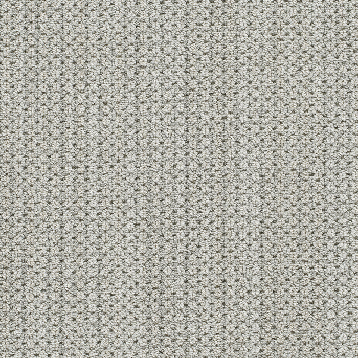 DreamWeaver - Montreal II - Carpet