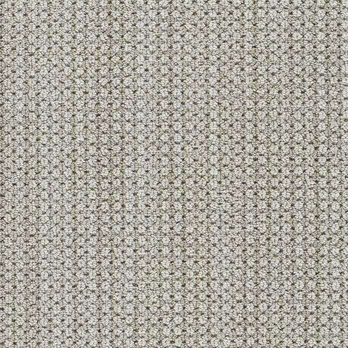 DreamWeaver - Montreal II - Carpet