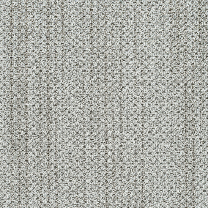 DreamWeaver - Montreal II - Carpet