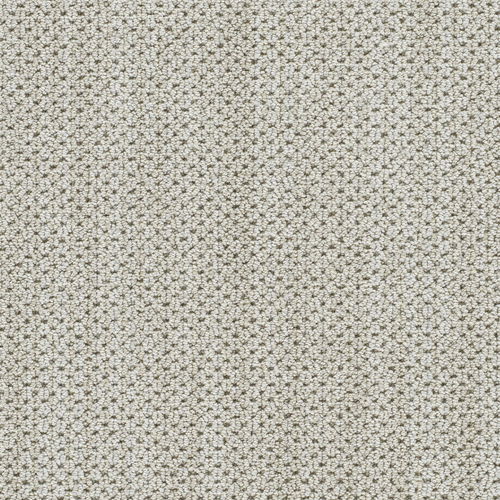 DreamWeaver - Montreal II - Carpet