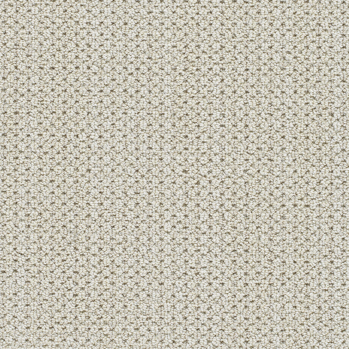 DreamWeaver - Montreal II - Carpet