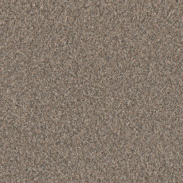 DreamWeaver - Timberline II - Carpet