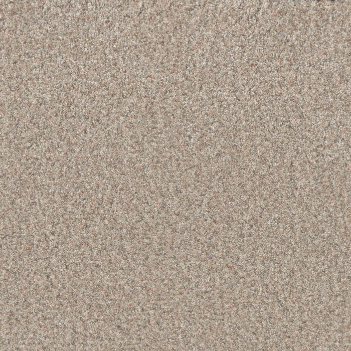 DreamWeaver - Timberline II - Carpet