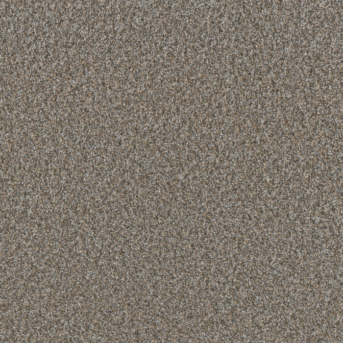 DreamWeaver - Timberline II - Carpet