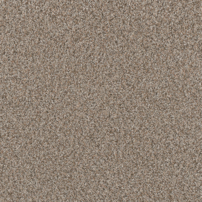 DreamWeaver - Timberline II - Carpet