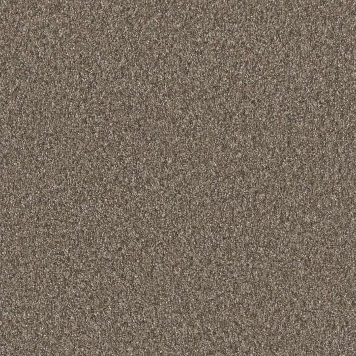 DreamWeaver - Timberline II - Carpet