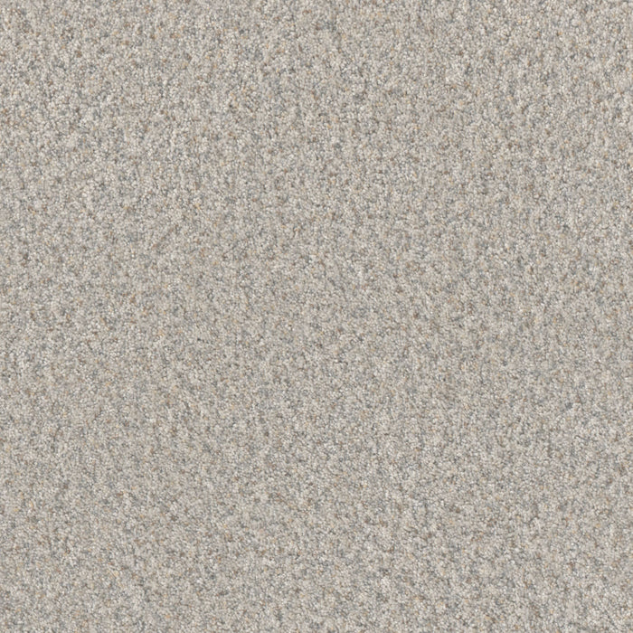 DreamWeaver - Timberline II - Carpet