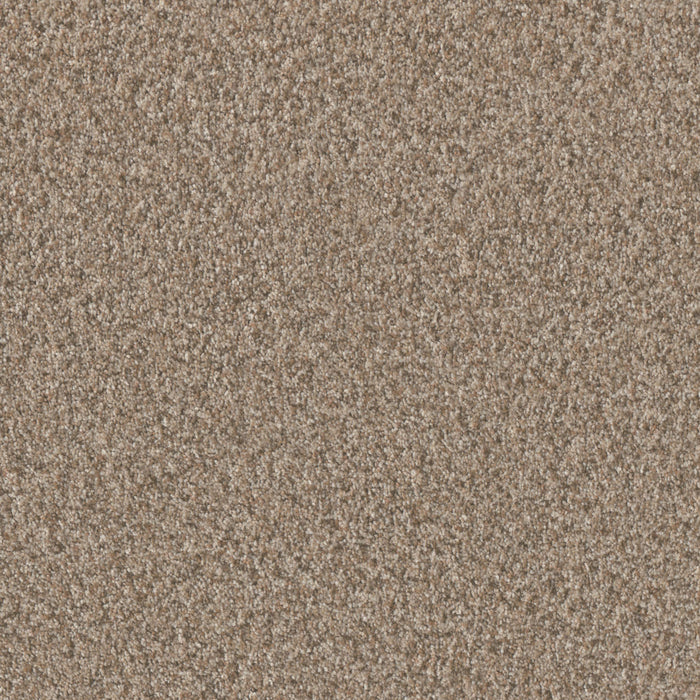 DreamWeaver - Timberline II - Carpet