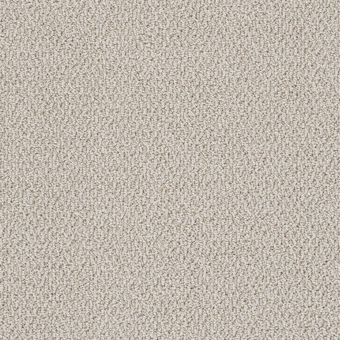 DreamWeaver - Palazzo - Carpet