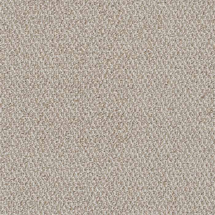 DreamWeaver - Palazzo - Carpet