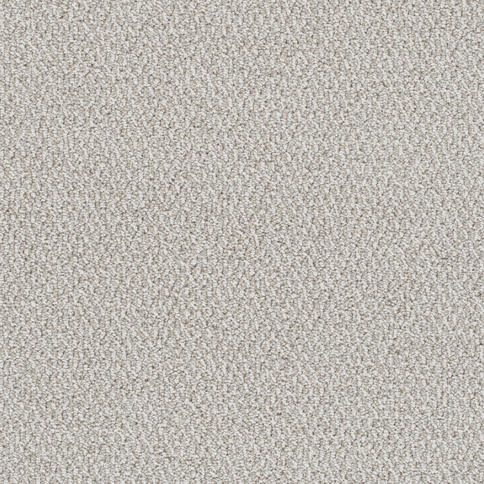DreamWeaver - Palazzo - Carpet