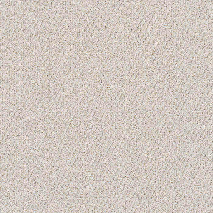 DreamWeaver - Palazzo - Carpet