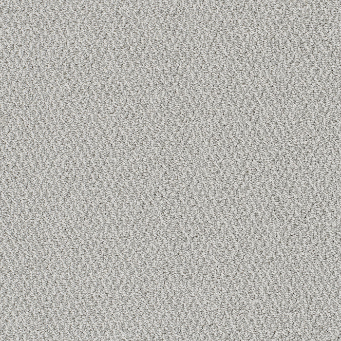 DreamWeaver - Palazzo - Carpet