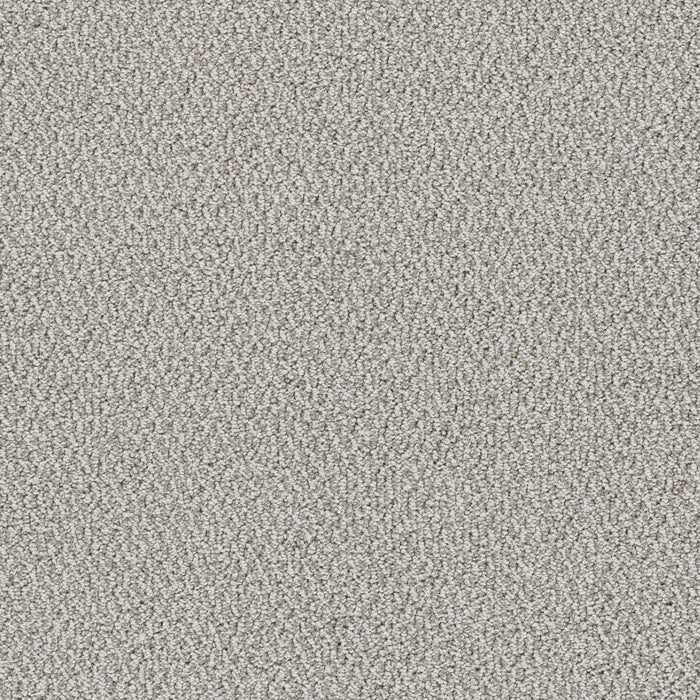 DreamWeaver - Palazzo - Carpet