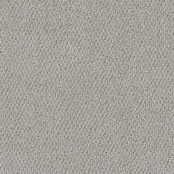 DreamWeaver - Palazzo - Carpet