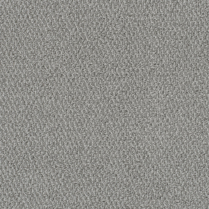 DreamWeaver - Palazzo - Carpet