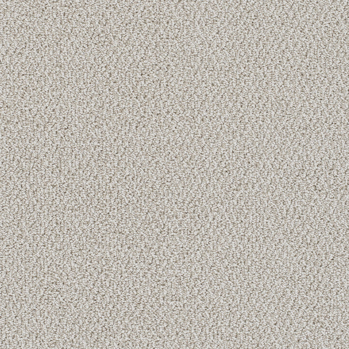 DreamWeaver - Palazzo - Carpet