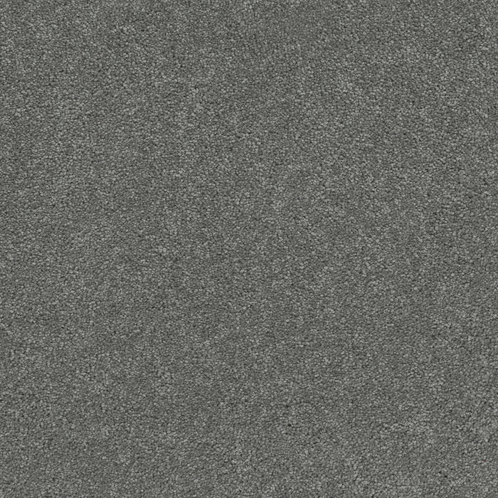 DreamWeaver - Rock Solid III - Carpet