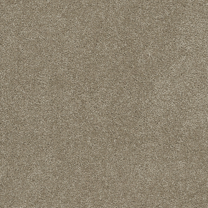 DreamWeaver - Rock Solid III - Carpet