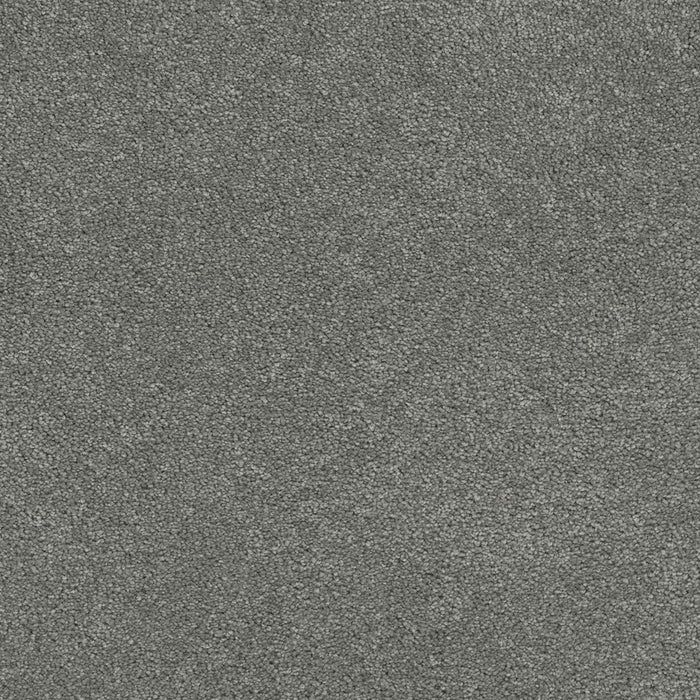 DreamWeaver - Rock Solid III - Carpet