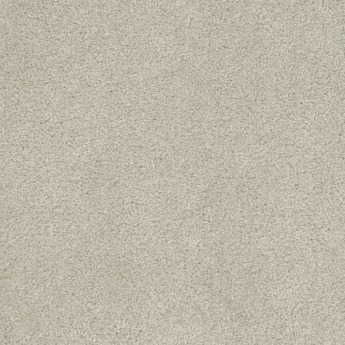 DreamWeaver - Rock Solid III - Carpet