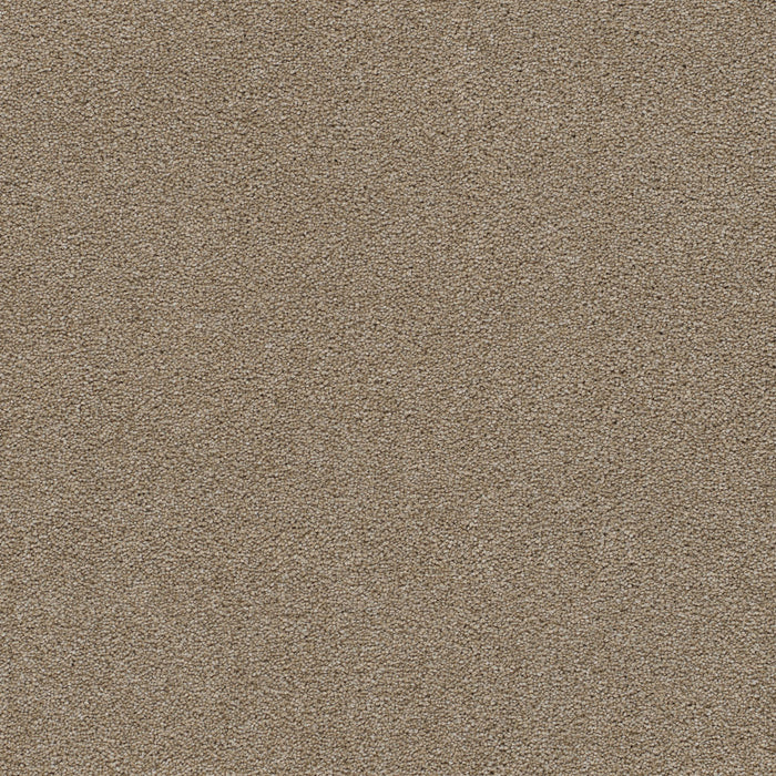 DreamWeaver - Rock Solid III - Carpet