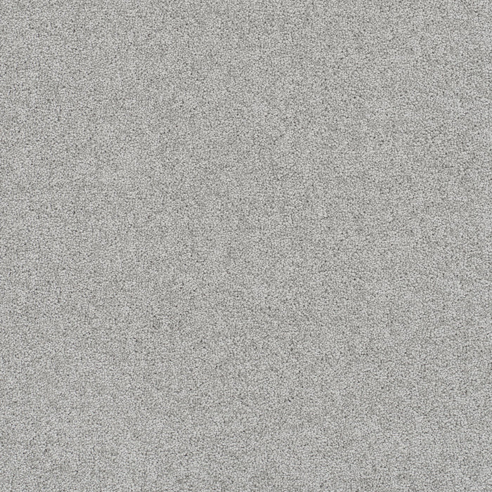 DreamWeaver - Rock Solid III - Carpet