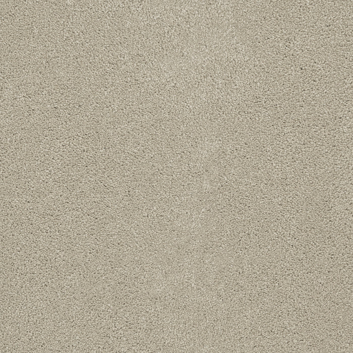 DreamWeaver - Rock Solid III - Carpet