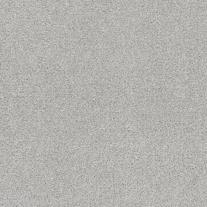 DreamWeaver - Rock Solid III - Carpet