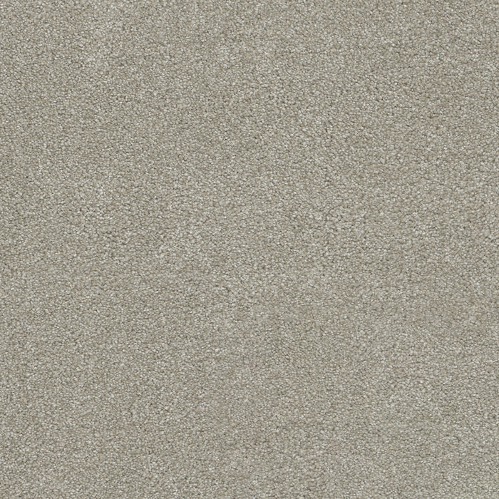 DreamWeaver - Rock Solid III - Carpet