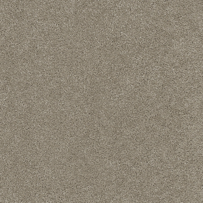 DreamWeaver - Rock Solid III - Carpet