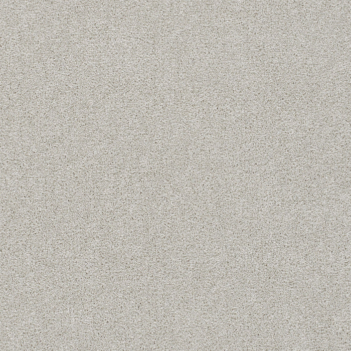 DreamWeaver - Rock Solid I - Carpet