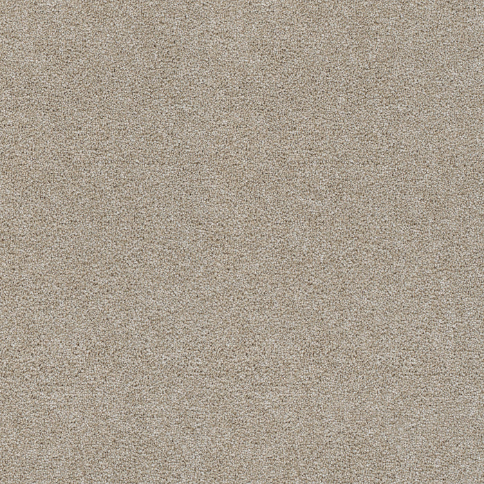 DreamWeaver - Rock Solid I - Carpet