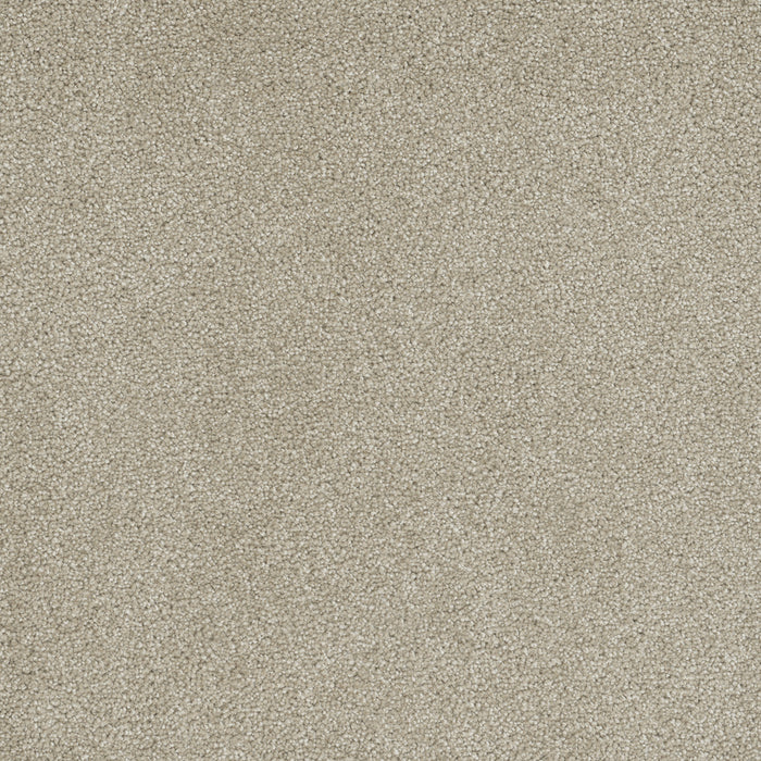 DreamWeaver - Rock Solid I - Carpet