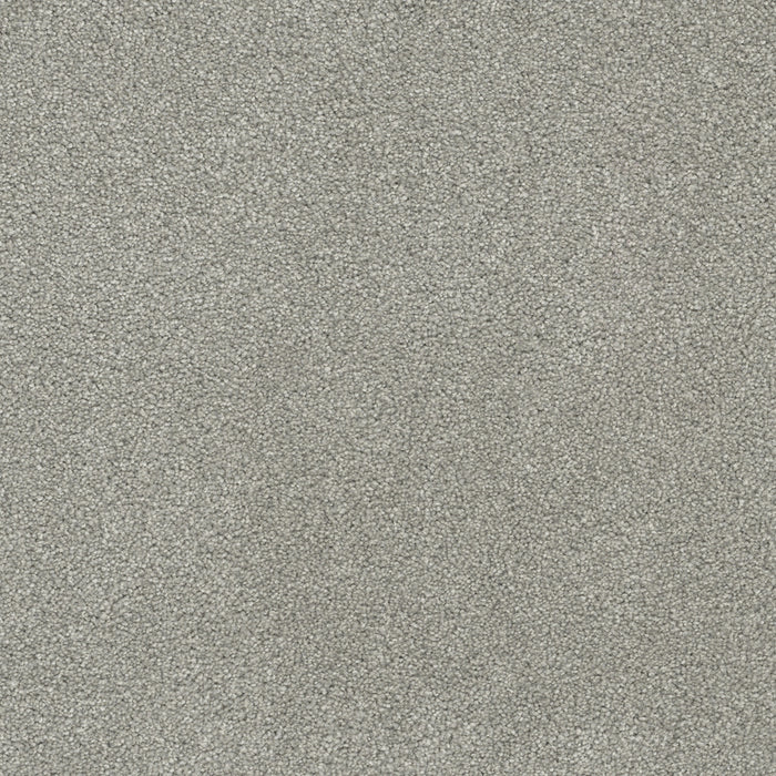 DreamWeaver - Rock Solid I - Carpet