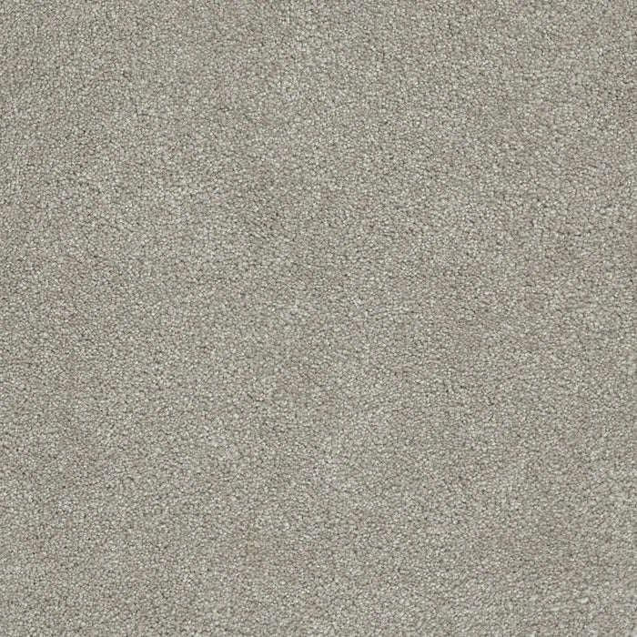 DreamWeaver - Rock Solid I - Carpet