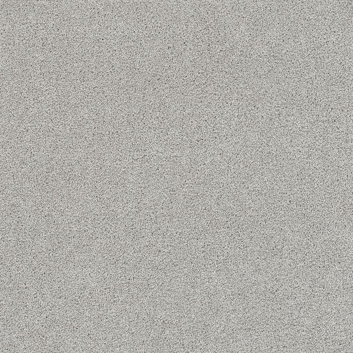 DreamWeaver - Rock Solid I - Carpet