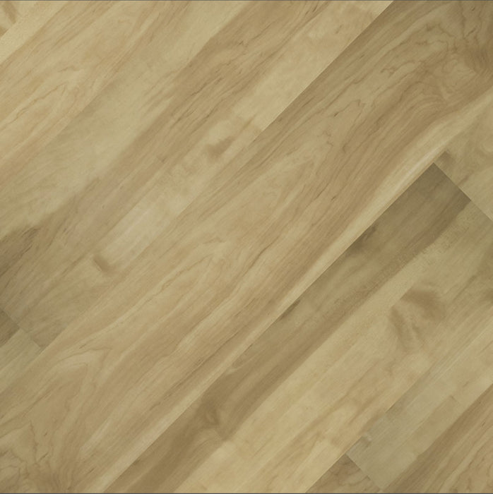 MSI - Cyrus - Brookline - Floor Planks