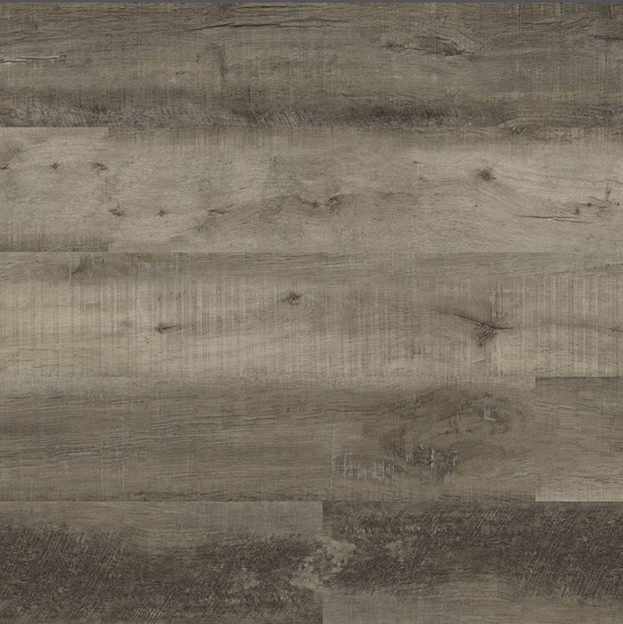 MSI - Cyrus - Wolfeboro - Floor Planks